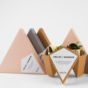 Custom Box Printing